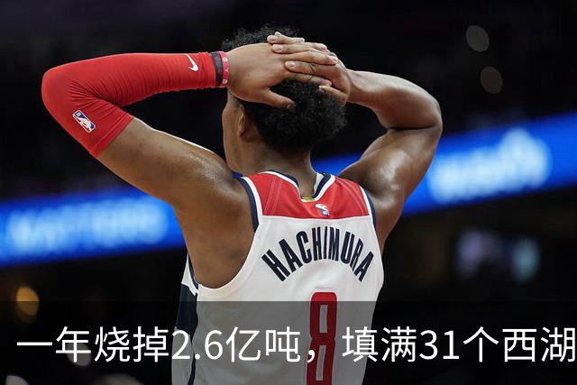 一年烧掉2.6亿吨，填满31个西湖！中国的垃圾，不够烧了？